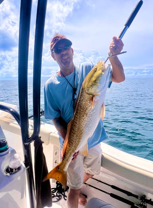 Redfish Fishing in Panama City Beach, Florida