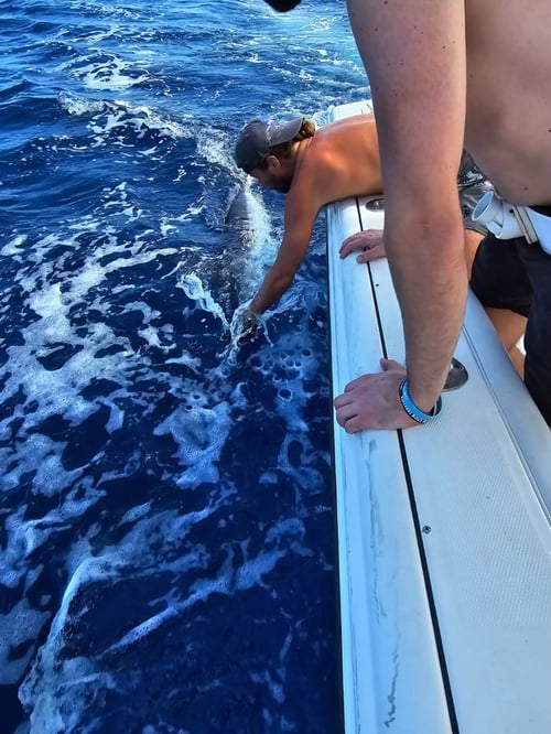 Combate Private Fishing Charter