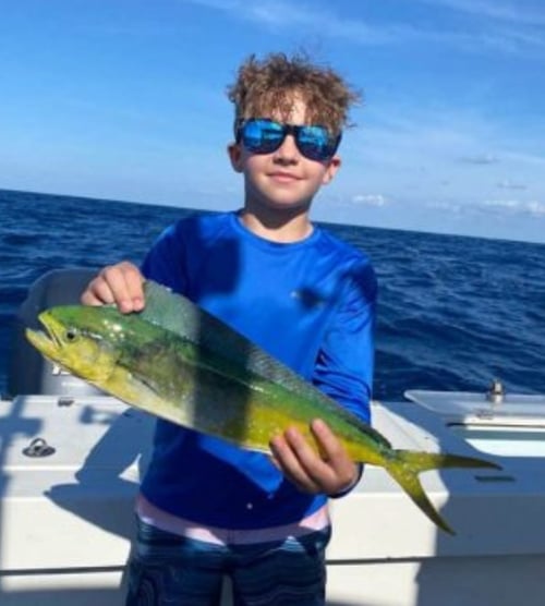 Mahi Mahi Fishing in Pompano Beach, Florida