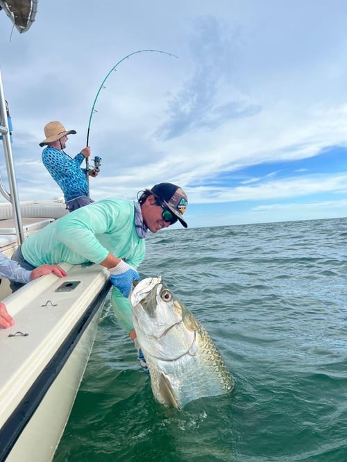 Tarpon Trips Sarasota