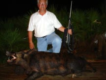 Florida hog hunting