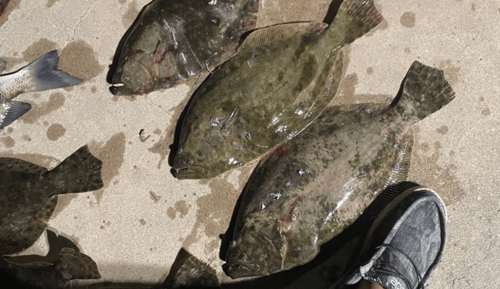 Flounder Fishing in Port O'Connor, Texas