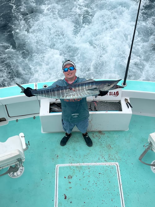 Wahoo Fishing in Miami Beach, Florida