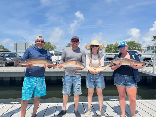 Epic Day Of Fishing