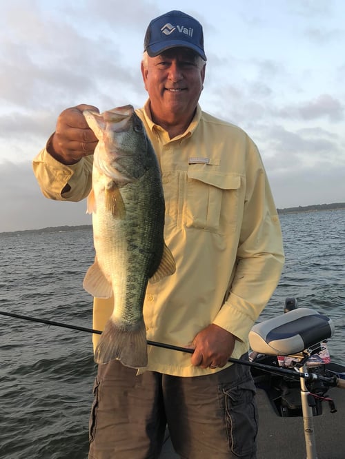 Largemouth Bass Fishing in Honey Grove, Texas