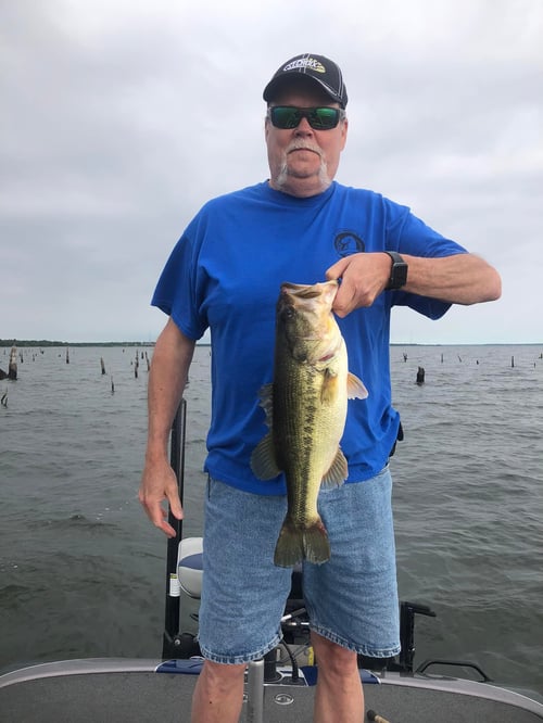 Largemouth Bass Fishing in Honey Grove, Texas