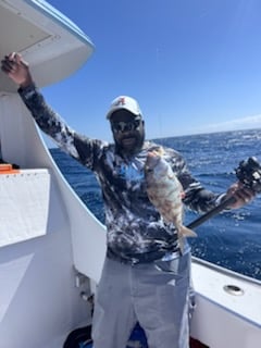 6 Hr Bottom Fishing 