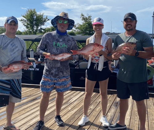 Pensacola Red Snapper Frenzy