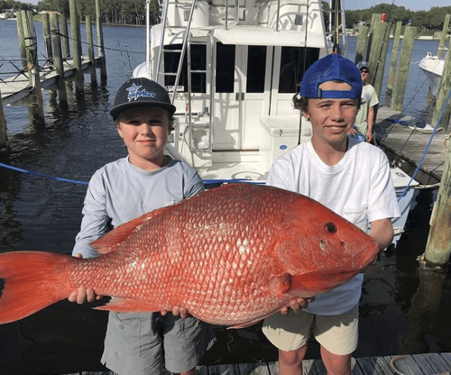 Destin Red Snapper Mania - 10-12 Hrs