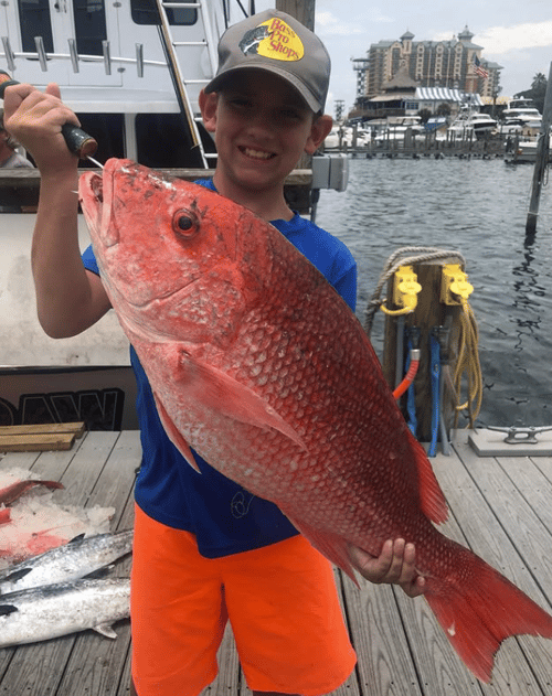 Red Snapper Mania - 10-12 Hrs