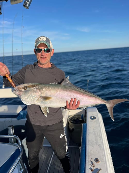 Gulf Thrills - Red Snapper in Destin