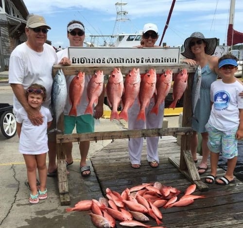 Live Red Snapper Action - 48' Viking