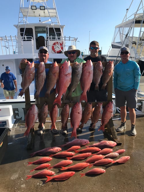Red Snapper Action - 60’ Bonner