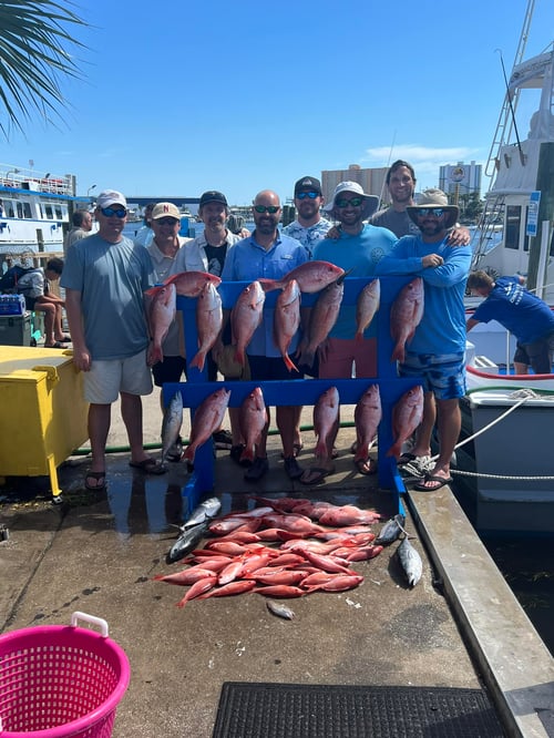 Red Snapper Bottom Fishing - 53'