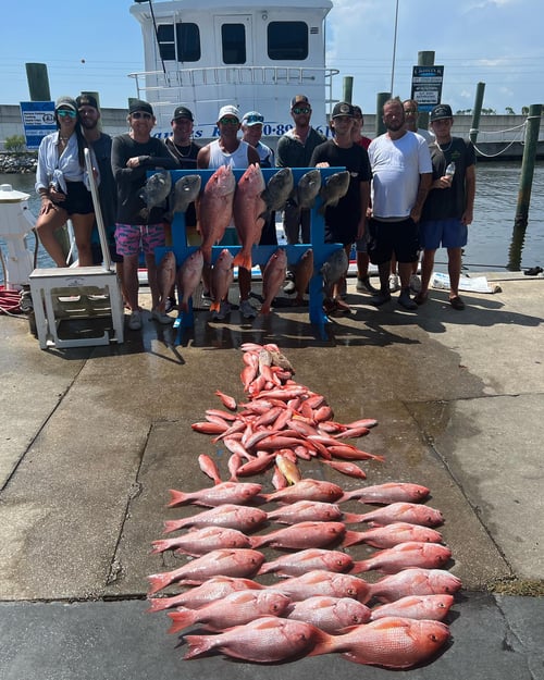 Red Snapper Bottom Fishing - 53'