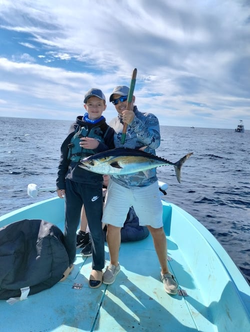 Catch Yourself Some Lunch! (or dinner)