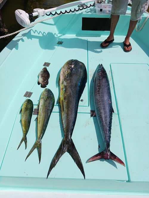 10 hour Extreme Offshore