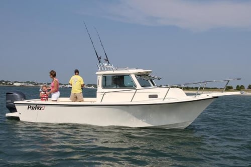 Scallop Adventure