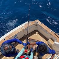 Day Trip - White Marlin
