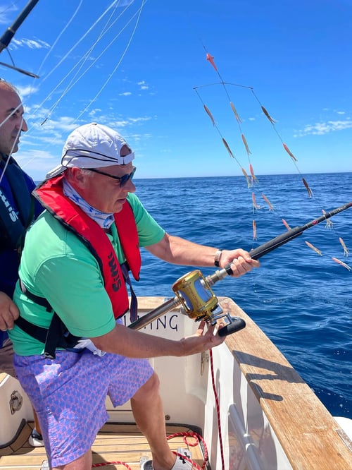 Day Trip - White Marlin