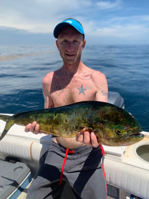 Offshore - State Waters