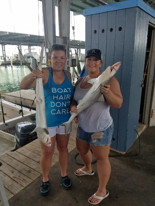 Galveston Shark Fishing