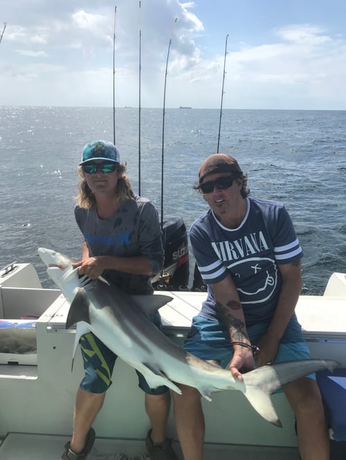 Galveston Shark Fishing