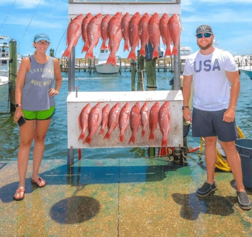 Vermillion Snapper Fishing in Destin, Florida