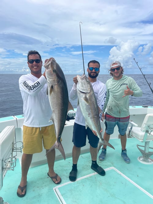 Amberjack Fishing in Miami Beach, Florida