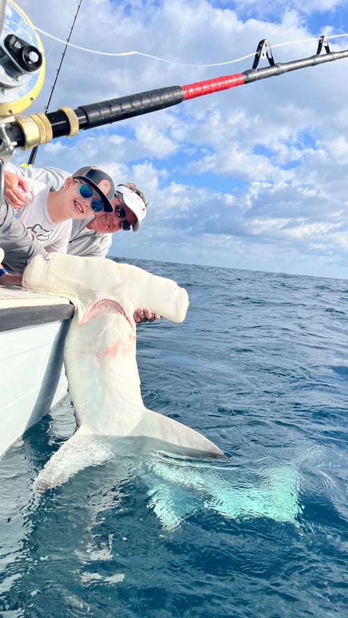 Big Catch Adventure!