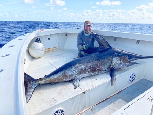 Big Catch Adventure!