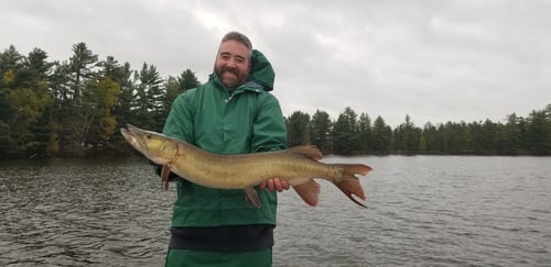 Full Day Musky Fishing