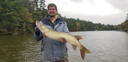 Full Day Musky Fishing