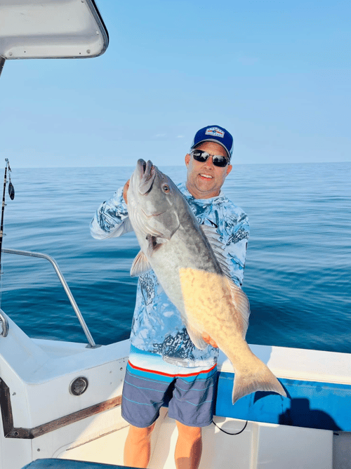 Productive Quick Trips