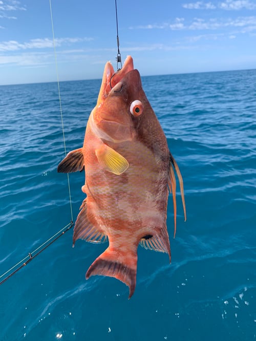 6 Hour Offshore