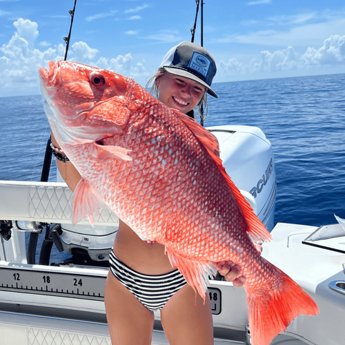 Red Snapper Fishing in Englewood, Florida