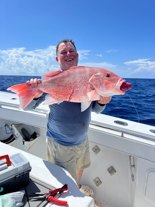 American Red Snapper (Seasonal)