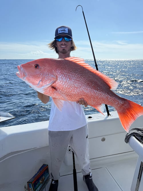 American Red Snapper (Seasonal)