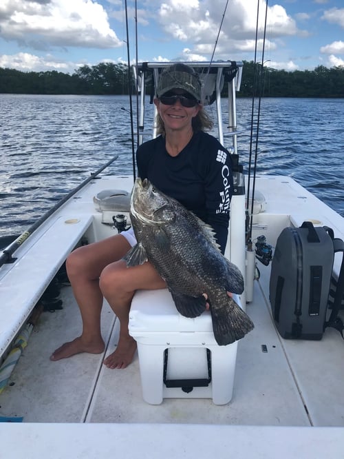 Charlotte Harbor Inshore Fishing