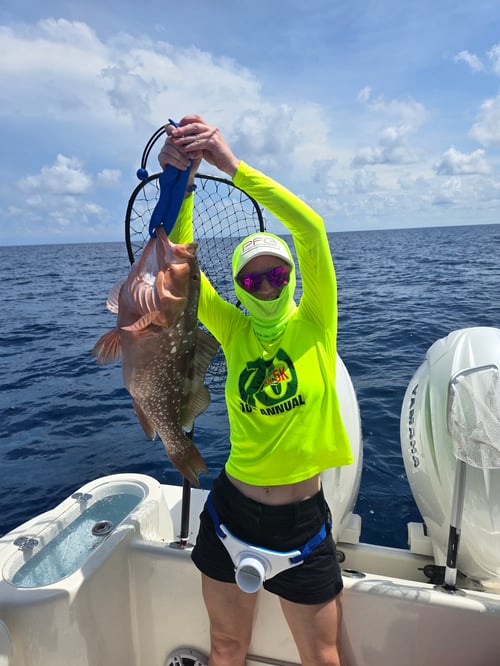 Private 4 hour - Sarasota Bay