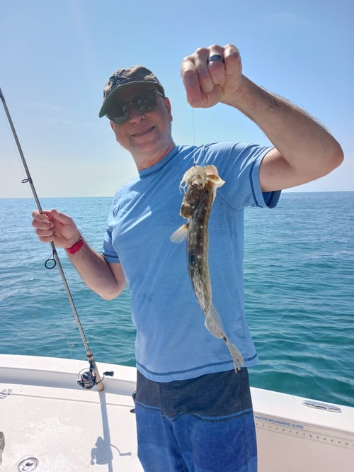 Private 6 hour fishing trip around prestige Anna Maria Sound