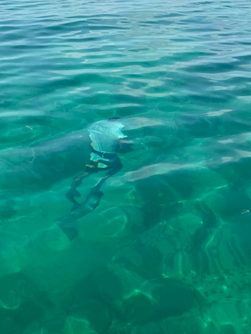 Private Full Day Lobster Snorkeling Trip
