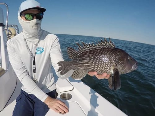 8 Hour Inshore Trip