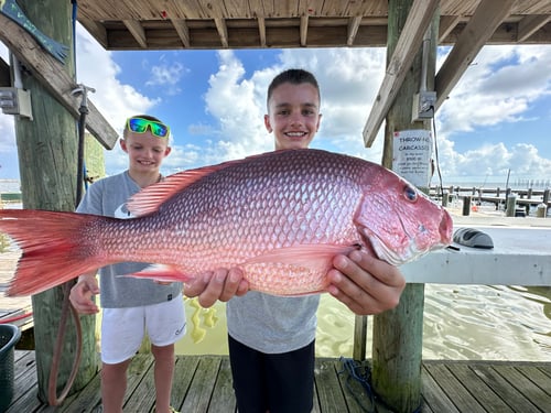Red Snapper Fishing in Gulf Shores, Alabama