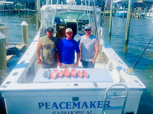 5 Hour Bottom Fishing & Trolling Trip