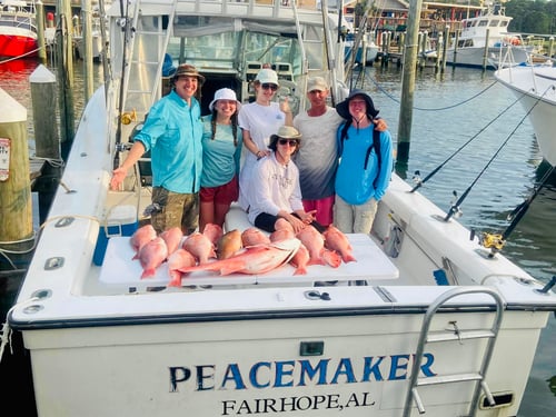 5 Hour Bottom Fishing & Trolling Trip