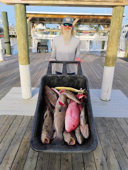 Orange Beach 12 Hour Deep Sea Fishing Trip