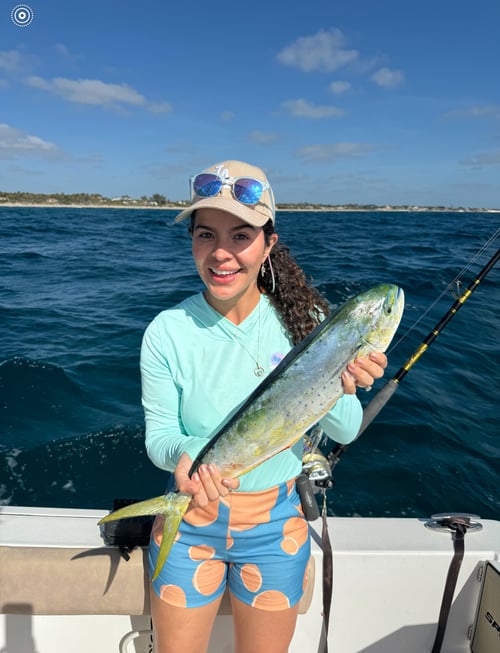6 hour Fishing Charter