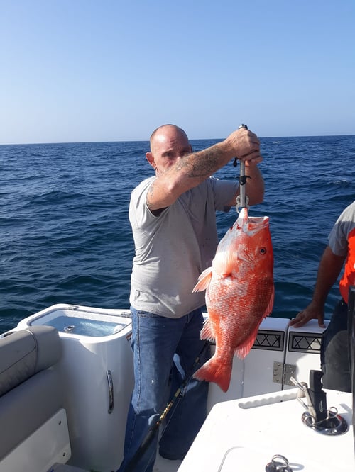 Offshore Attack Trip