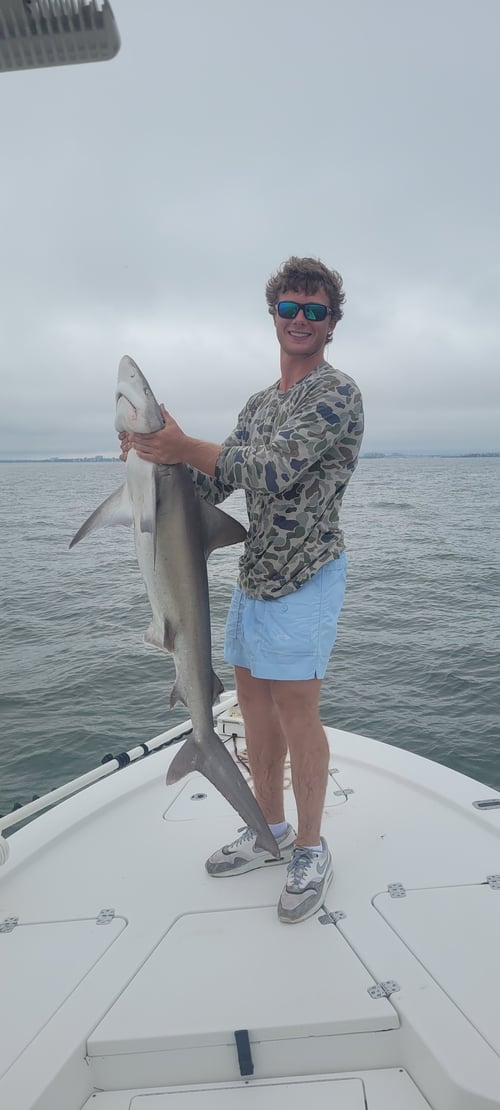 Shark Fishing with Captain Justin